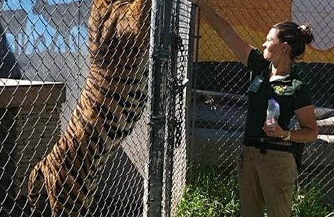 Online Animal Training Program