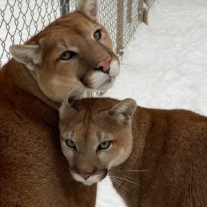 hope and jackson no 1