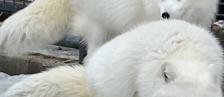 Make a meaningful contribution to our mission.